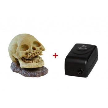 HAQUOSS FUNNY AIRDECO - SKULL 1